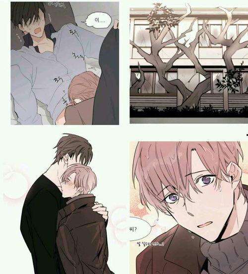 耽美漫画图,一段跨越时空的爱恋